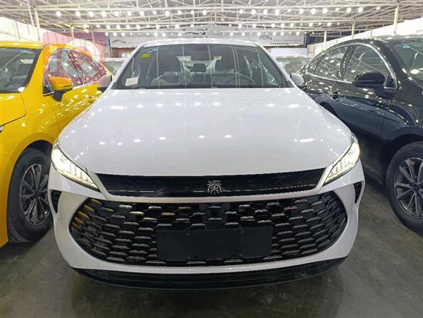 بي واي دي Qin Plus 2025 للبيع في العراق -  بغداد